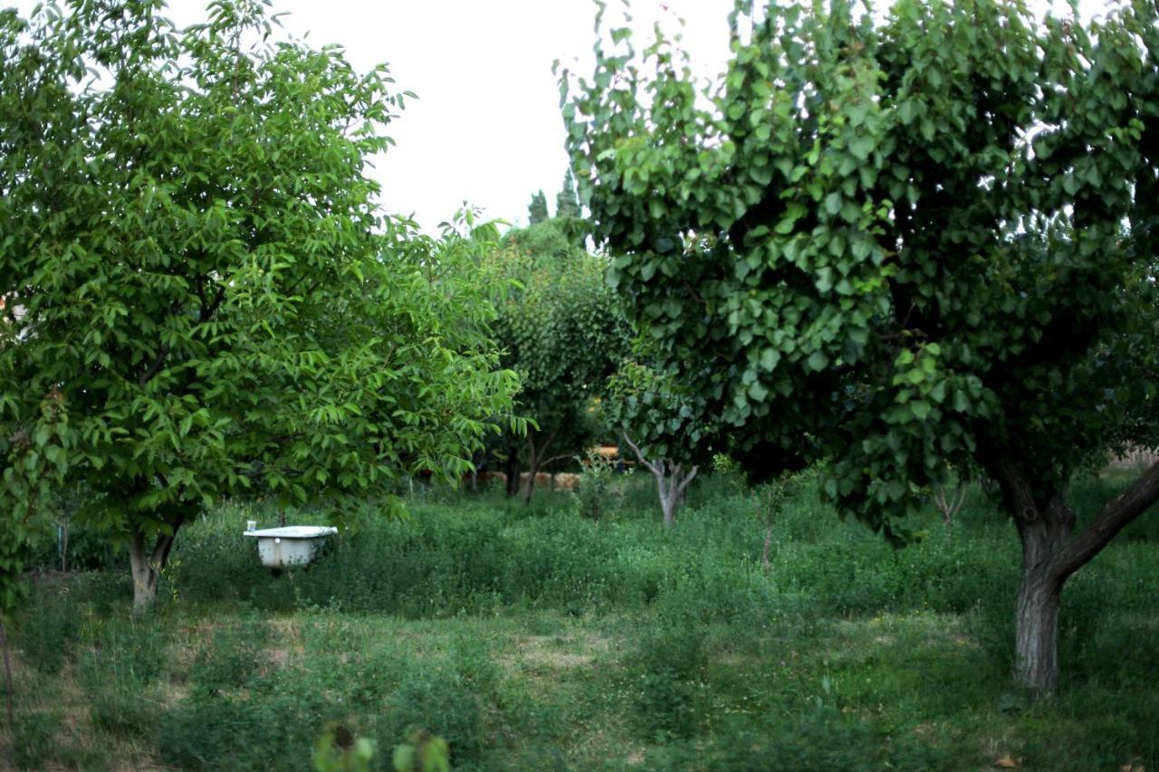 Noosh Guesthouse Ashnak Exterior photo